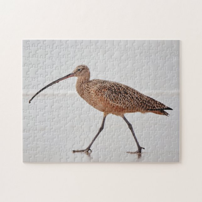 Curlew Bird Beach Walk Nature Puzzle Pussel (Horisontell)