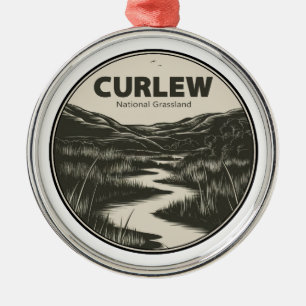 Curlew National Grassland Idaho Stream Julgransprydnad Metall