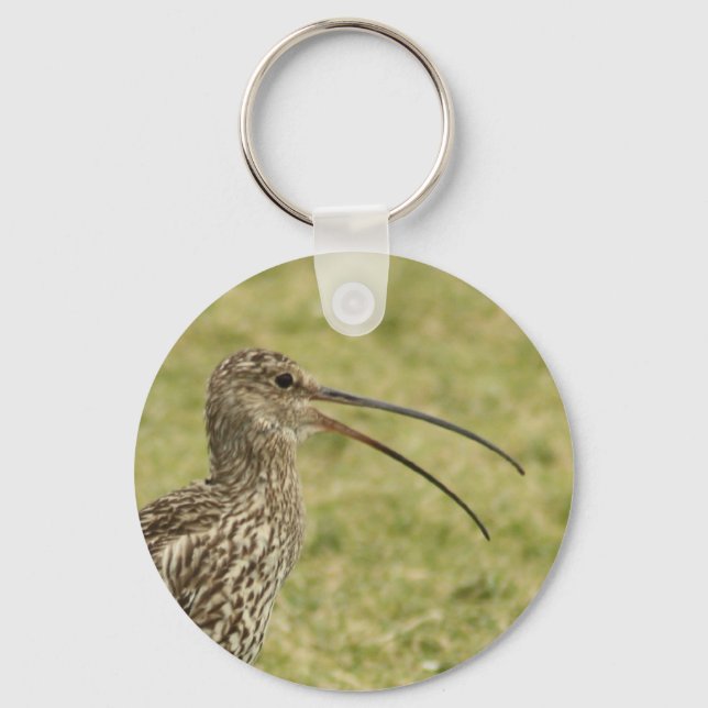Curlew Nyckelring (Framsida)