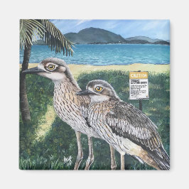 Curlews of Townsville Strand Magnet