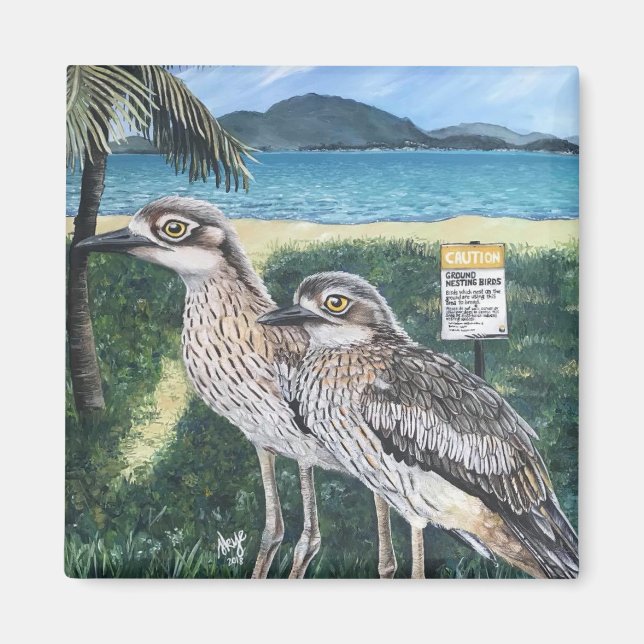 Curlews of Townsville Strand Magnet (Framsidan)