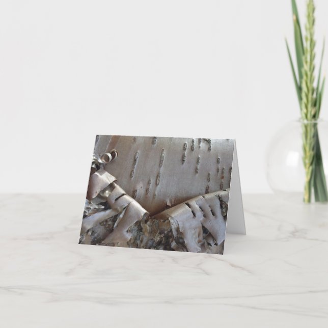 Curly Birch Bark Tree Rustic Anteckningskort (Framsida)