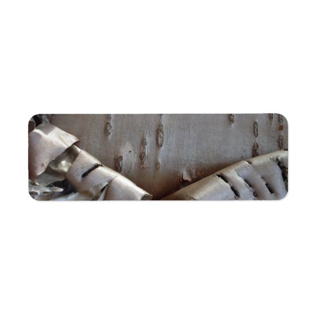 Curly Birch Bark Tree Rustic Returadress Etikett (Framsidan)