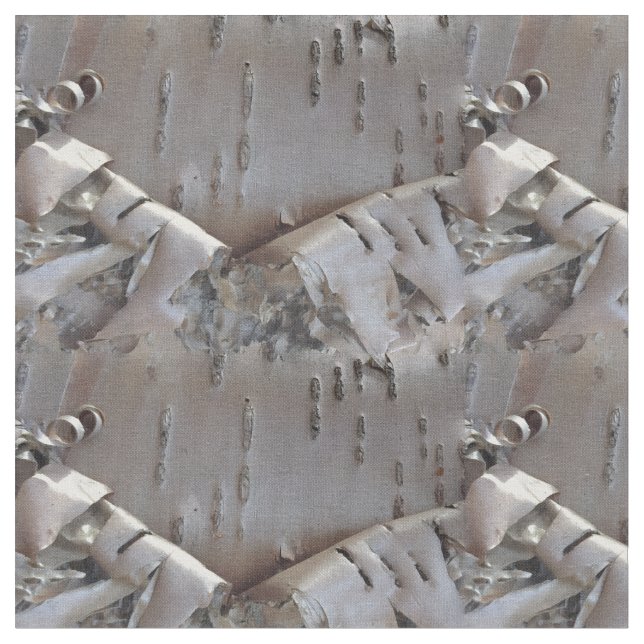 Curly Birch Bark Tree Rustic Tyg (Närbild)