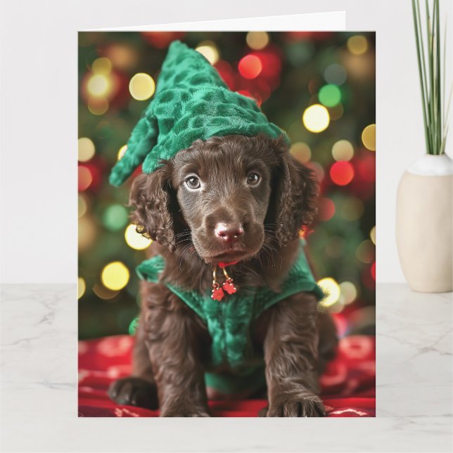 Curly-Jackat Retriever Elf Puppy-julkort Kort (Framsida)