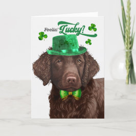Curly Jackat Retriever Hund Lucky St patrick's day Helgkort