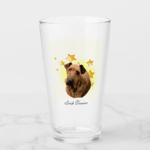 Curly Päls Irish Terrier är en stjärna Glaskopp