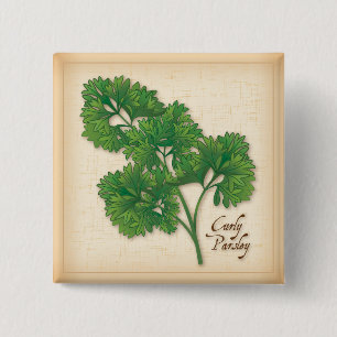 Curly Parsley Herb Knapp