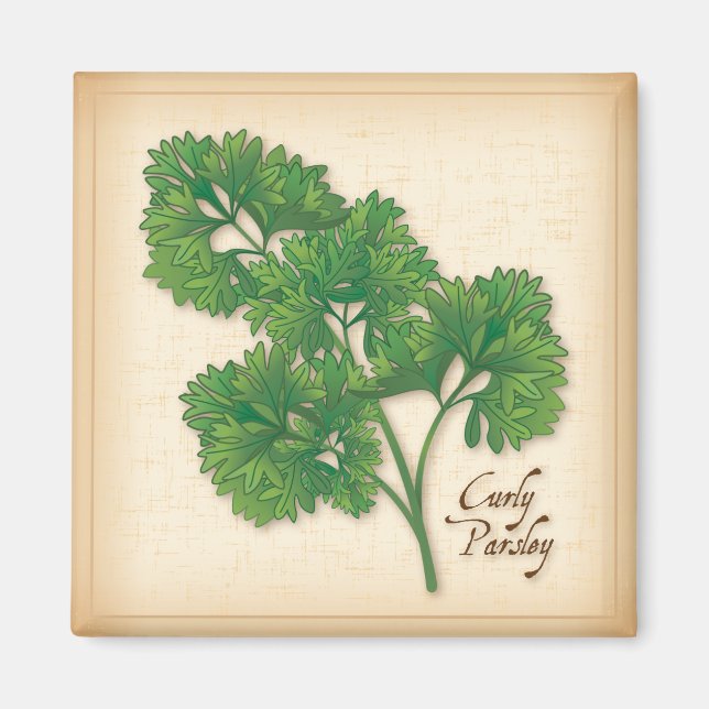 Curly Parsley Herb Magnet (Framsidan)