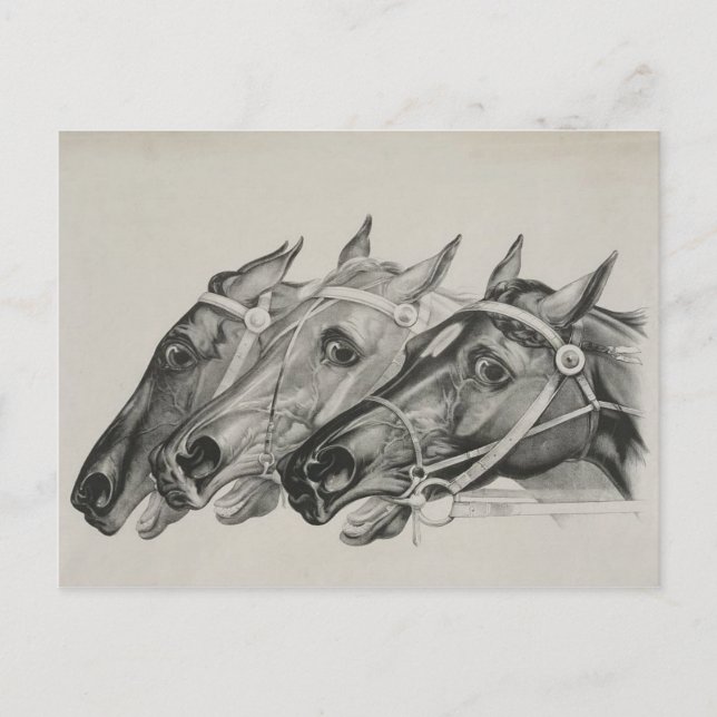 currier & ives  --The Leaders vykort (Framsida)