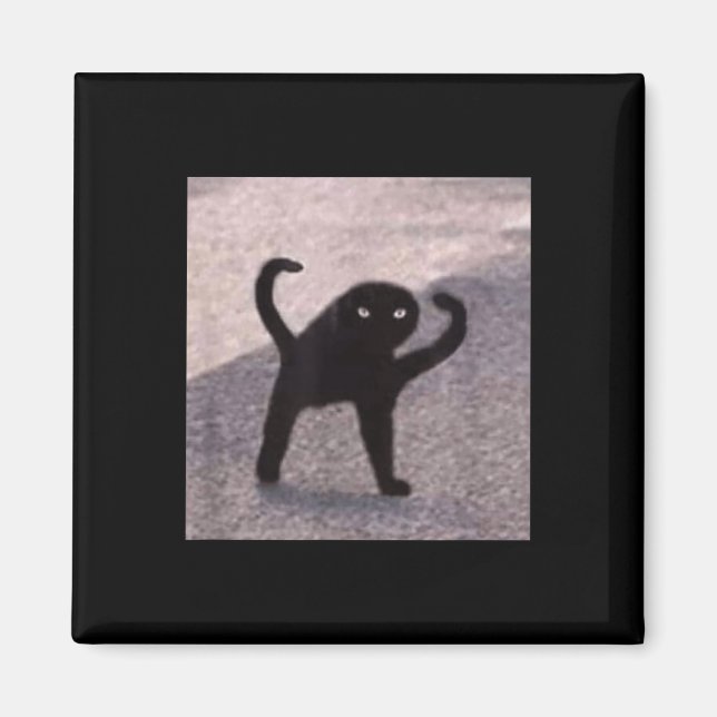 Cursed Cat Memes Cursed Cat Arg as Bra Memorial Magnet (Framsidan)