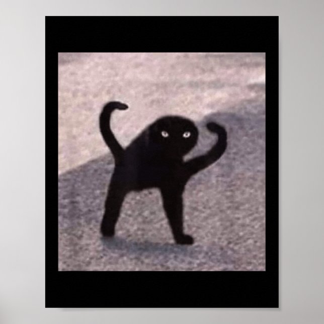 Cursed Cat Memes Cursed Cat Arg as Bra Memorial Poster (Framsidan)