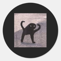 Cursed Cat Memes Cursed Cat Arg as Bra Memorial