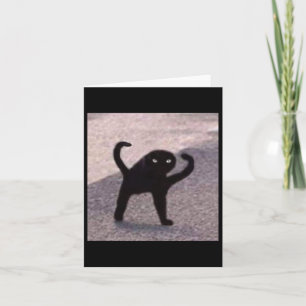 Cursed Cat Memes Cursed Cat Arg As Memme Kort