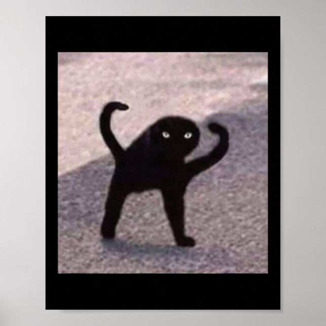 Cursed Cat Memes Cursed Cat Arg As Memme Poster (Framsidan)