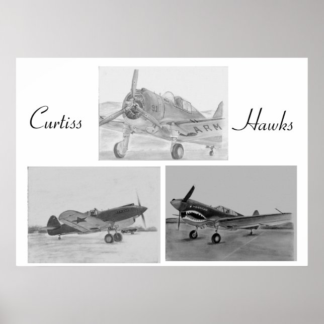 Curtiss Hawk-familjen poster (Framsidan)