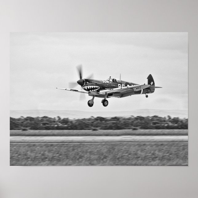 Curtiss P-40 Warhawk Fighter Luft Flygplan Poster (Framsidan)