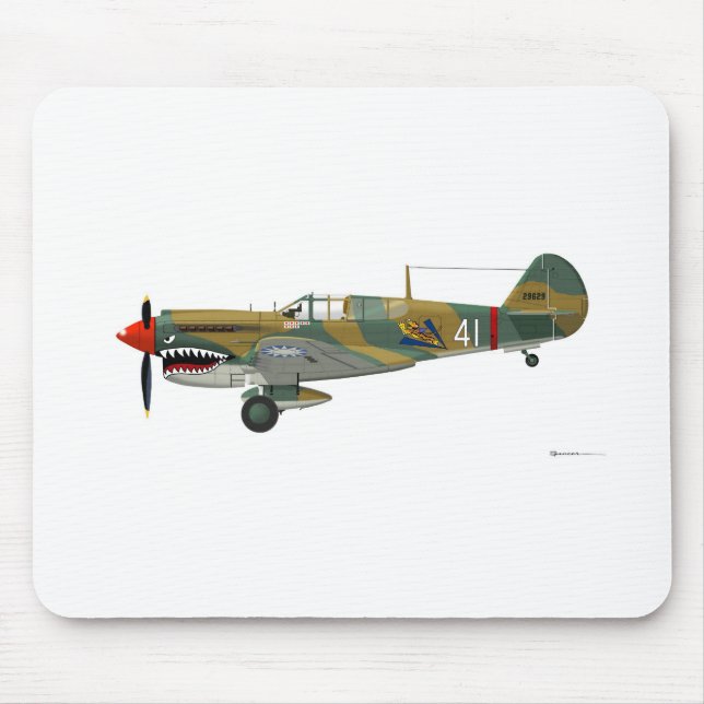 Curtiss P-40 Warhawk Musmatta (Framsidan)