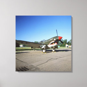 Curtiss P-40 Warhawk, på Minnesota CAF Air Show Canvastryck