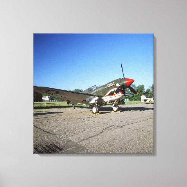 Curtiss P-40 Warhawk, på Minnesota CAF Air Show Canvastryck (Framsida)