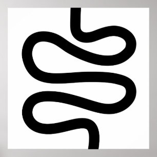 Curvy Line - Svartvit Poster