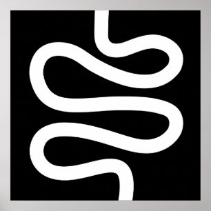 Curvy Line - vit på svart Poster