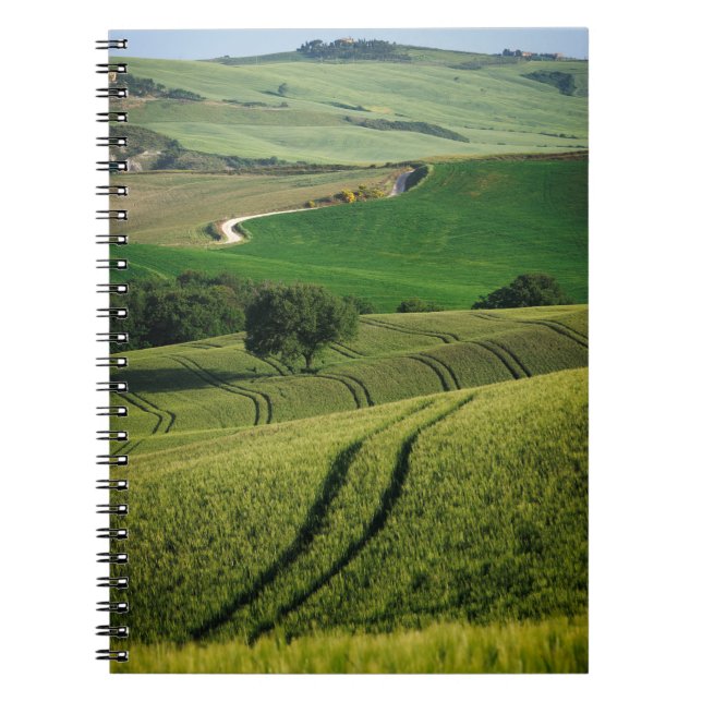 Curvy linjer i den gröna Tuscany anteckningsboken Anteckningsbok (Framsidan)