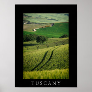Curvy linjer i grön Tuscany svartaffisch Poster