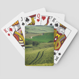 Curvy linjer i grönt Tuscany pokerdäck Kortlek