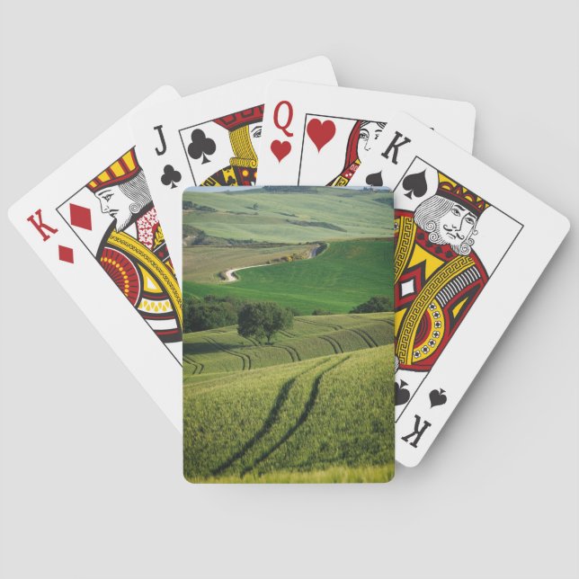 Curvy linjer i grönt Tuscany pokerdäck Kortlek (Baksidan)
