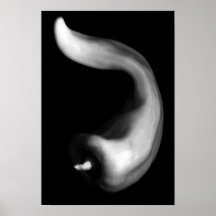 Curvy Pepper Close Up Black and White Photography