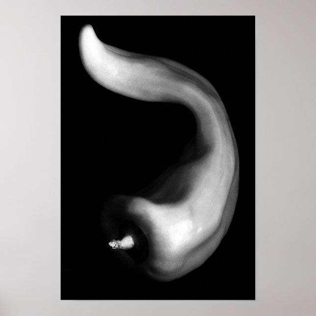 Curvy Pepper Close Up Black and White Photography Poster (Framsidan)