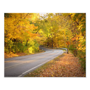 Curvy Road i Fall Fototryck