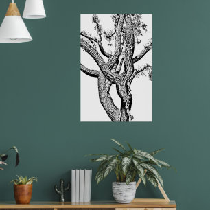 Curvy Träd i Black and White Poster konst