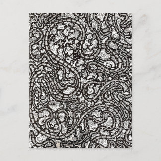 Curvy Twisty Cartoon Weird Faces Design Vykort