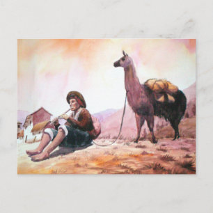 Cusco Peru Llama Bild Vykort