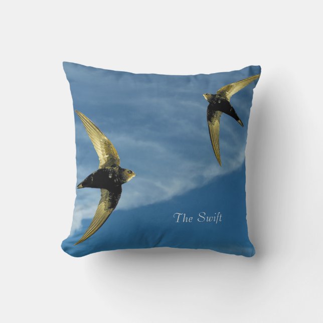 Cushion Kudde (Framsida)