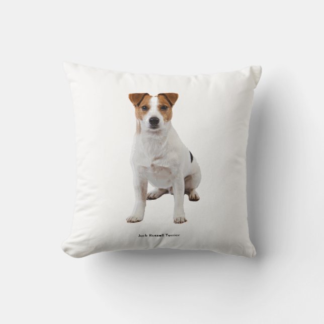 Cushion Kudde (Framsida)