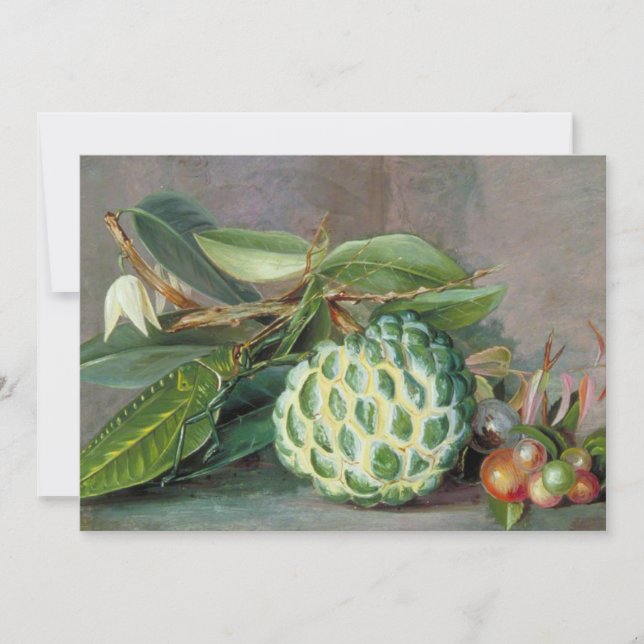 Custard Apple - Marianne North Julkort (Framsida)