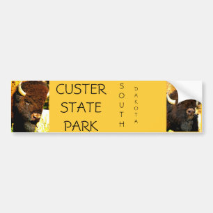 Custer delstatsparkbildekal bildekal