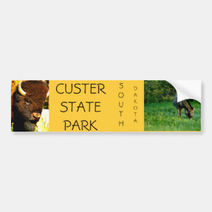 Custer delstatsparkbildekal bildekal
