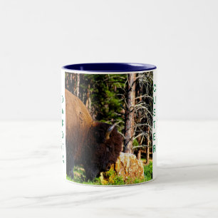 Custer delstatsparkmugg II Två-Tonad Mugg