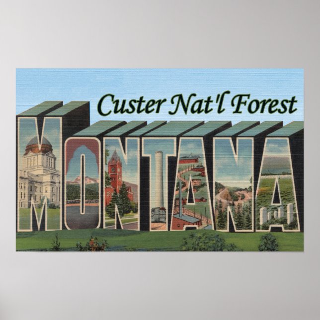 Custer Nat'l Forest, Montana Poster (Framsidan)