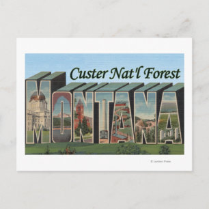 Custer Nat'l Forest, Montana Vykort