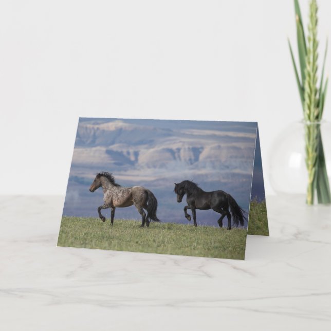 Custer och Galaxy - Vild Horse Greeting Card Kort (Framsida)