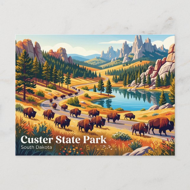 Custer State Park USA Vykort (Framsida)