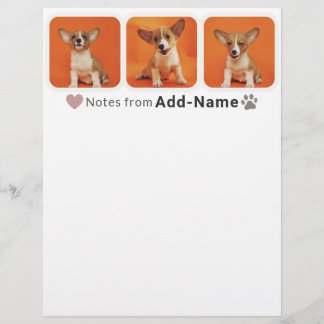 Custom 3 Photo Collage Pet Dog Name Picture On Brevhuvud