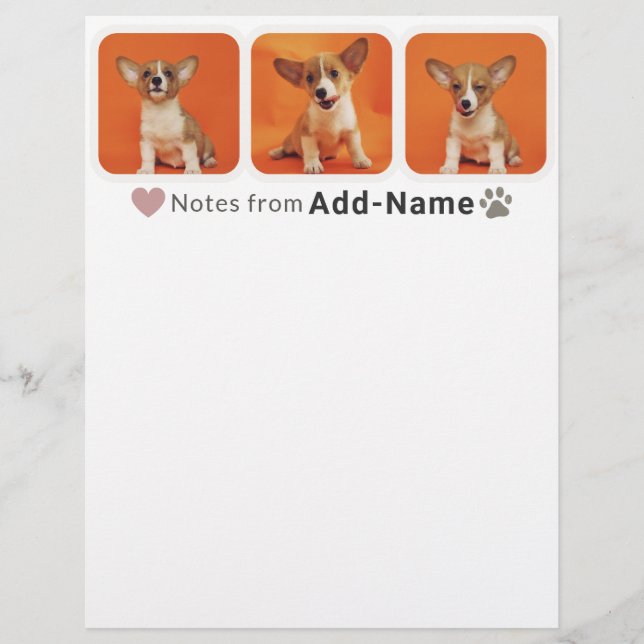 Custom 3 Photo Collage Pet Dog Name Picture On Brevhuvud (Framsida)