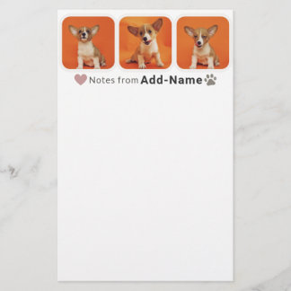 Custom 3 Photo Collage Pet Dog Name Picture On Brevpapper