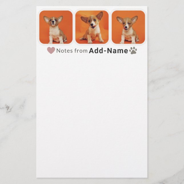 Custom 3 Photo Collage Pet Dog Name Picture On Brevpapper (Framsida)